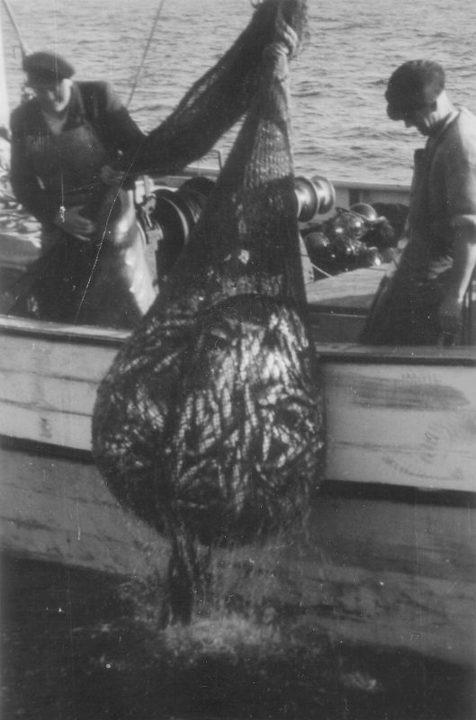 fischer_heinr._buhmann_u._herm._marckwardt_1953.jpg fischer_heinr._buhmann_u._herm._marckwardt_1953.jpg